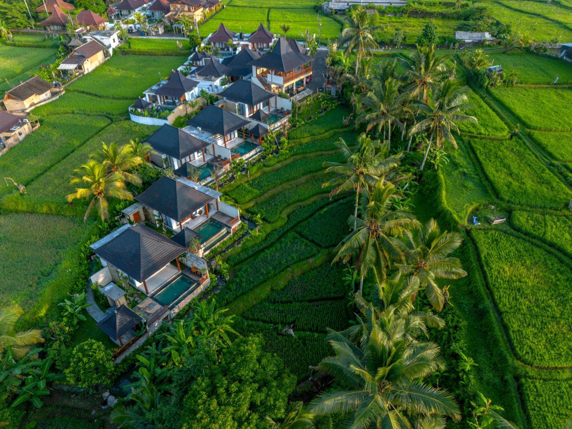 Dewi Kunti Villa Tegallalang  Exteriér fotografie