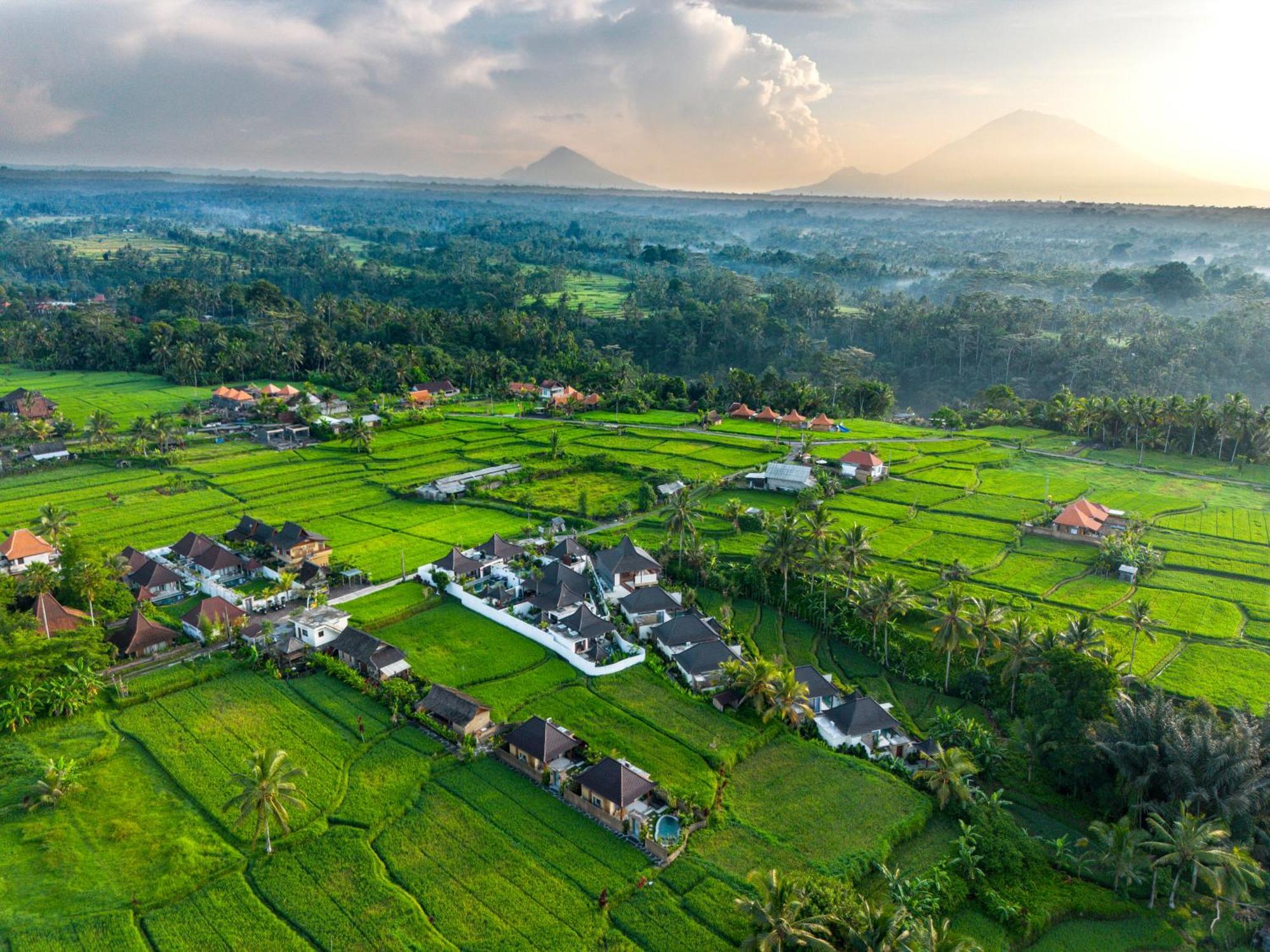 Dewi Kunti Villa Tegallalang  Exteriér fotografie
